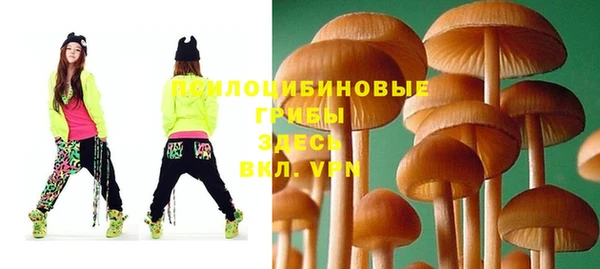 а пвп мука Богданович