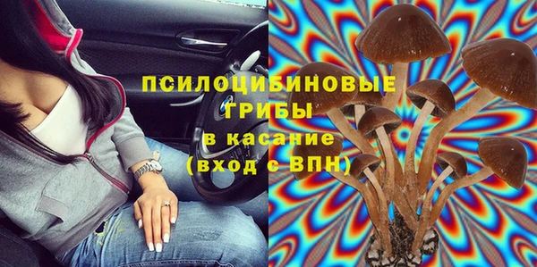 а пвп мука Богданович
