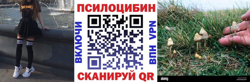Галлюциногенные грибы MAGIC MUSHROOMS  Майкоп 