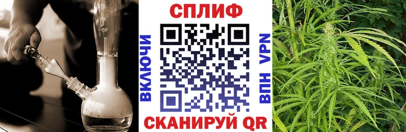 Каннабис OG Kush Майкоп